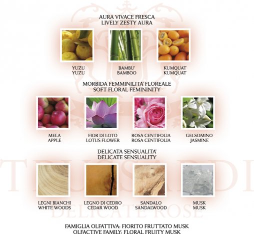 Egy törékeny rózsa