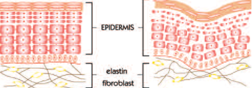 Illóolaj az illékony ifjúságra