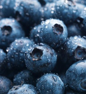 Baba Mama fitt: áfonya torta