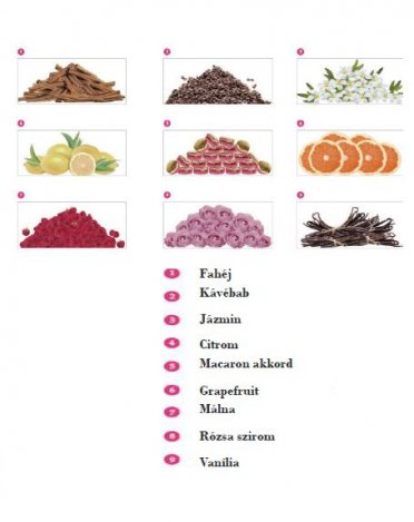 Álom vagy valóság?