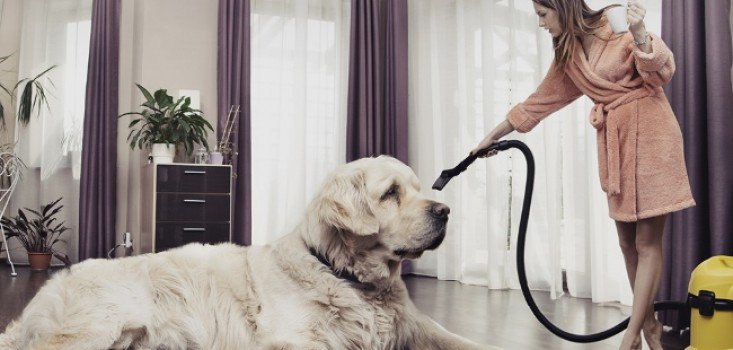 Baktériumfogók az otthonodban