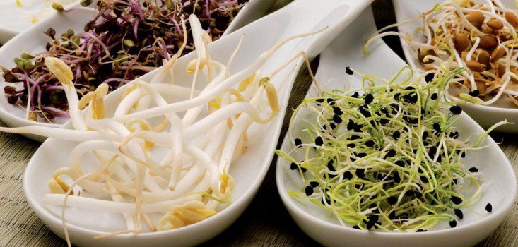 Mi fán terem a csíra II.