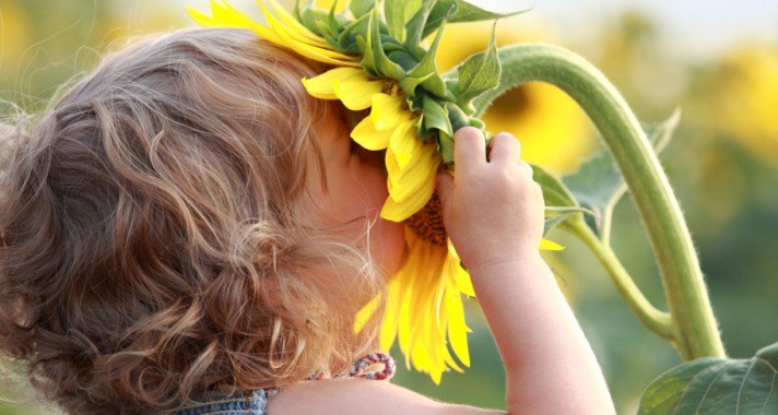 Immunterápiával a gyermekallergia ellen