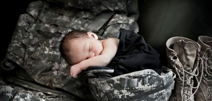 Álomszuszék modellek