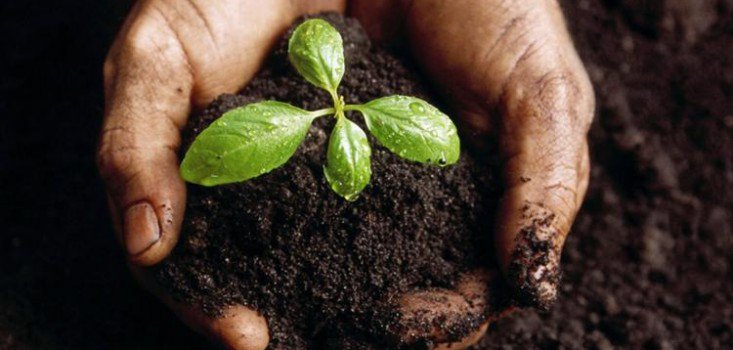 Komposzt Kisokos Kezdőknek