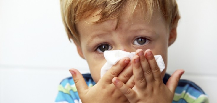 Csúnya köhögés II.