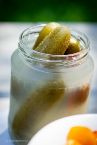 A kerti bogrács és a paprikás krumpli esete