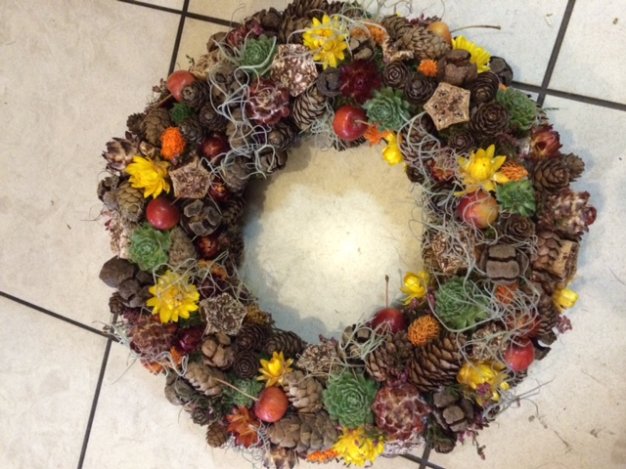 Növényápolási kisokos