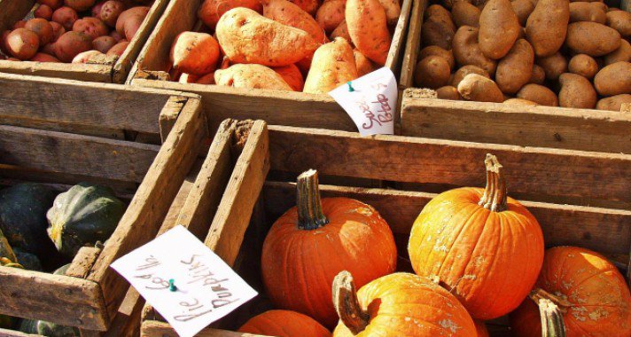 Kedvenc őszi ételeink