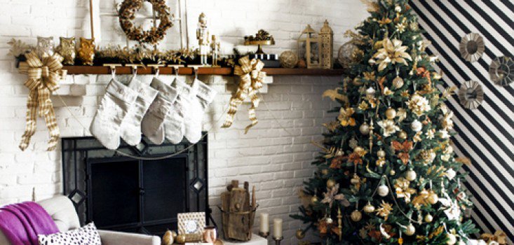 Karácsonyfa rendelésre