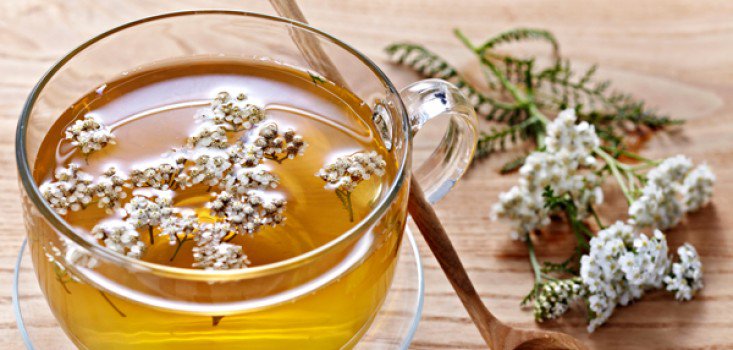 8 ok, amiért szeretjük a cickafarkfüvet