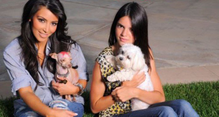 Hírességek, akik két fotó után túladtak a kisállataikon