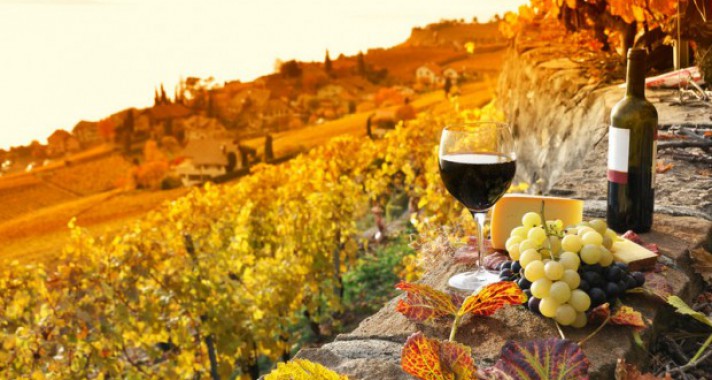 Hétvégi programajánló