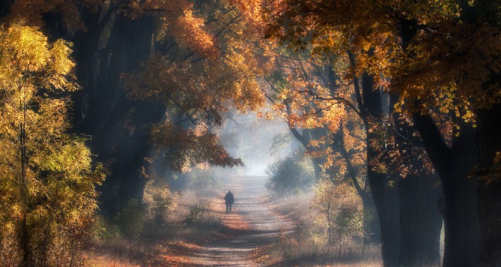 9 gyönyörű őszi fotó egy lengyel erdőről
