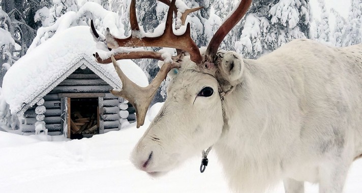 Lélegzetelállító természetfotók a csodálatos Lappföldről, télen