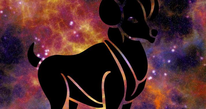 Jöttem, láttam, győztem! - Kos