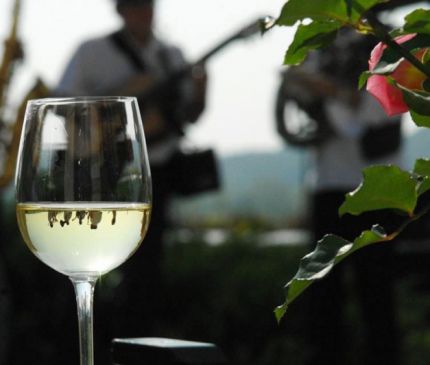 Borárverés a Tokaji Tavaszon