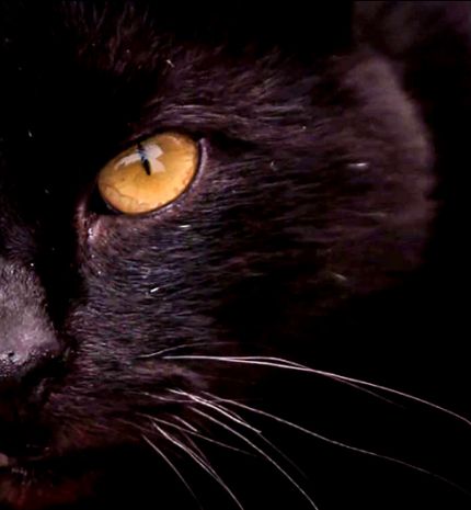 Tehetünk ellene, tegyünk is ellene!