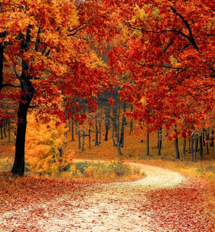 Őszi barangoló: Látogatás az új Etyeknél, Európa mértani közepében