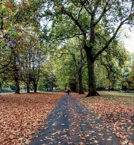 20 csodás fotó az őszi Londonról