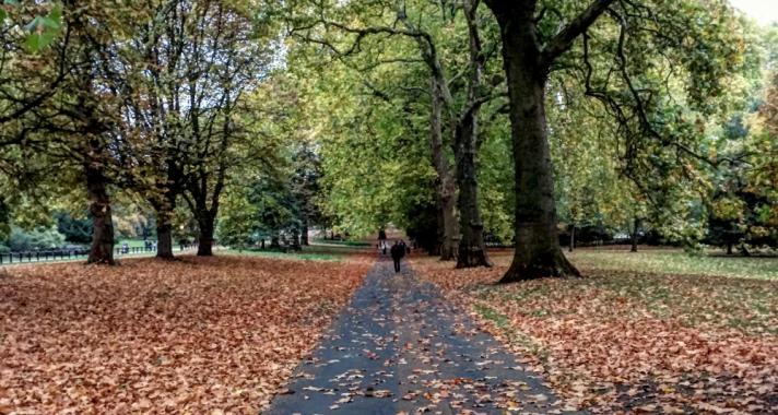 20 csodás fotó az őszi Londonról