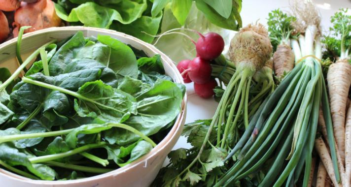 Inzulinrezisztencia étrend: a 160 gramm ALAPÚ szénhidrátdiéta