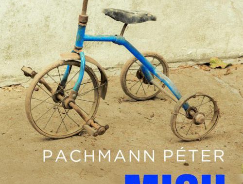Pachmann Péter: Misu háborúja (kritika)