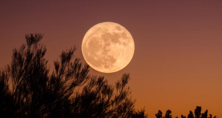 Varázslatos éjszaka – Kékholdas, szuperholdas Telihold az Oroszlán jegyében