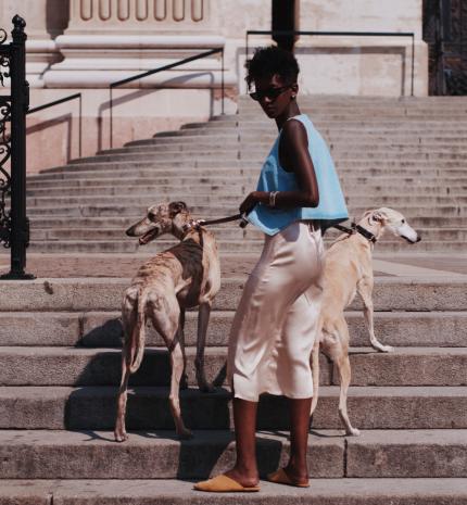 Sikk, dizájn, kutyásoknak!