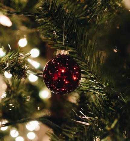 Amit eddig nem tudtál a karácsonyfáról