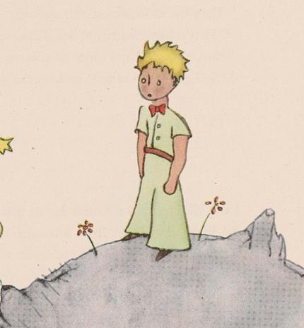 'Mindenkitől azt kell követelni, amit az illető megtehet.' Idézetek A kis hercegből