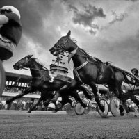 Az év fotói, Pictures of the year 2006. - Stylelife, divat, életmód, stílus