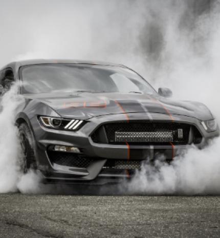 Az élményvadászat hamarosan indul!