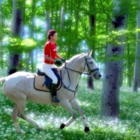 Lovas Nemzet - Stylelife, divat, életmód, stílus