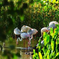 Tanzánia - Utazás, divat, életmód, stílus