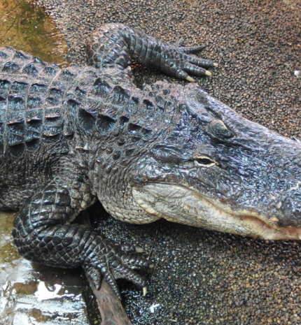 Játszva tanulás - Mit csináljunk a gyerekekkel, ha rossz az idő?