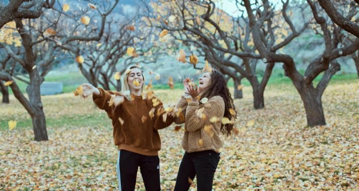 Mi jellemzi két ember szoros barátságát?