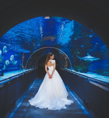 20 éves kicsik és nagyok kedvence, a Tropicarium