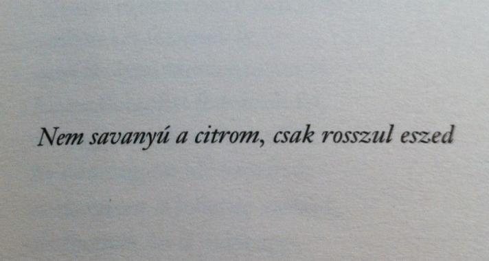 'A nosztalgia ad kétezer tonnás súlyt az életnek' - avagy Kemény Zsófival elolvastuk Tompa Andrea: Haza című könyvét