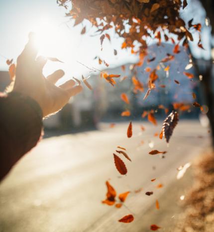 8 dolog, amit életed végére meg fogsz bánni