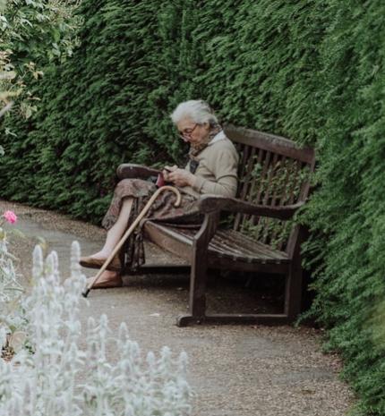 Visszafordítható-e a szellemi hanyatlás?