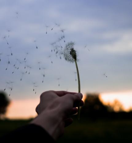 Ha túl gyakran kérsz bocsánatot...