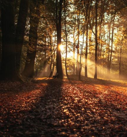 A nagy őszi bakancslista: Magyarország legszebb kirándulóhelyei