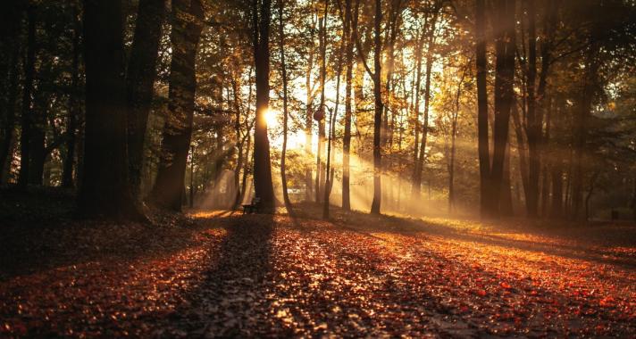 A nagy őszi bakancslista: Magyarország legszebb kirándulóhelyei