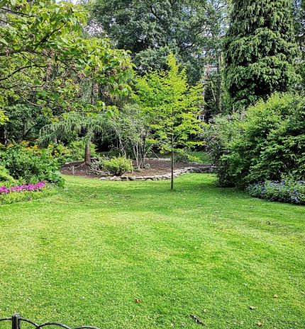 3+1 dolog, ami nem hiányozhat egy szép kertből