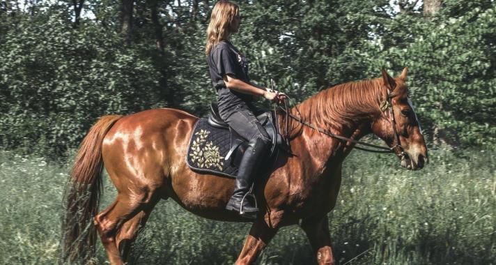 Kapcsolódás, összhang, szabadság - az élet lóháton