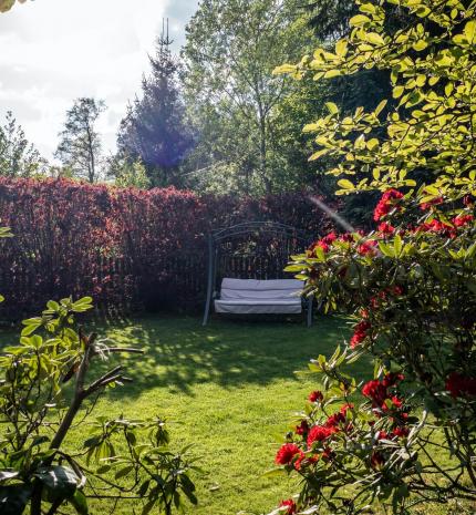 Kerttervezés lépései kezdőknek