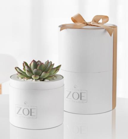 Ajándék titkos összetevővel - amivel még biztosan sehol sem találkozhattál