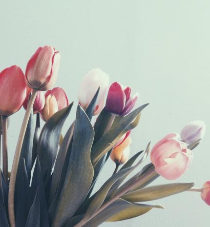 Virágok Pszichológiája | Így jellemez a kedvenc virágod!