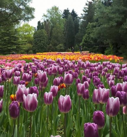 3 kora tavaszi kirándulóhely, amit érdemes meglátogatnod!